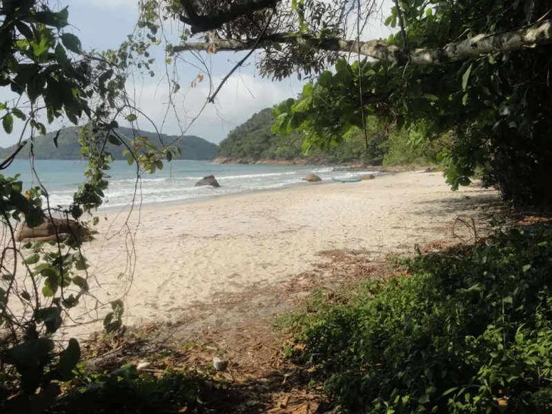 Foto enquadrada pela vegetação, galhos de árvores e folhas. Há uma praia, de areia fofa e branca, e um mar de água azul clara. Ao fundo, ilhas.